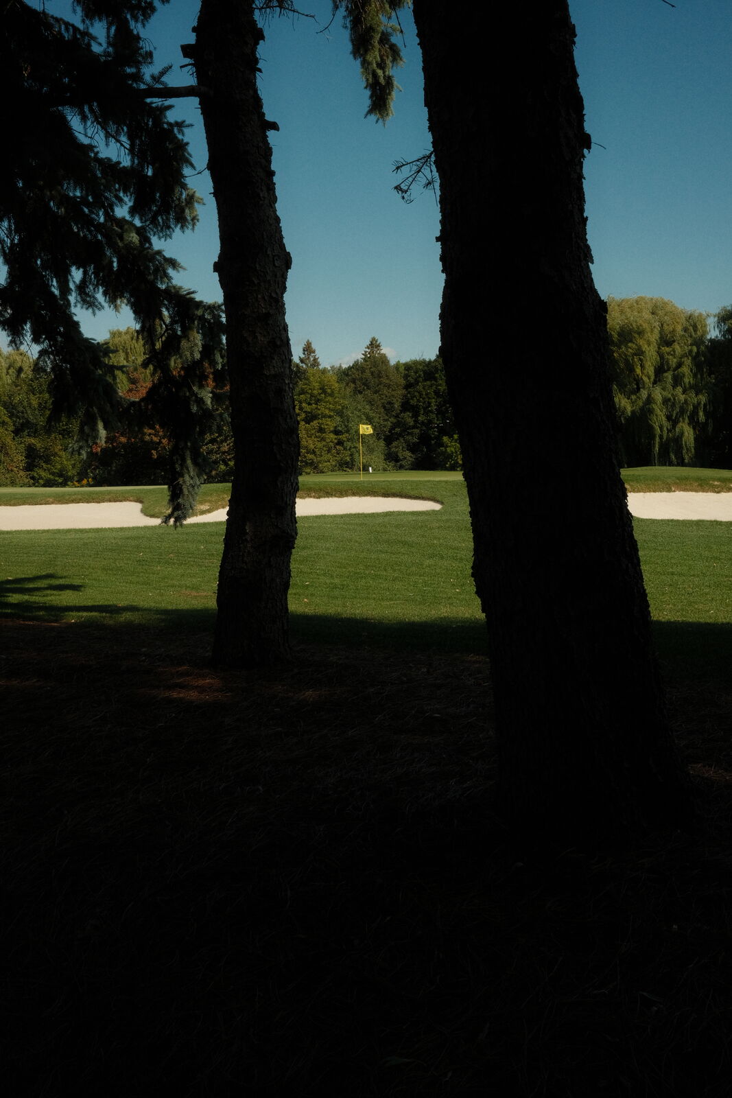Golf photography by Julian Cordiano