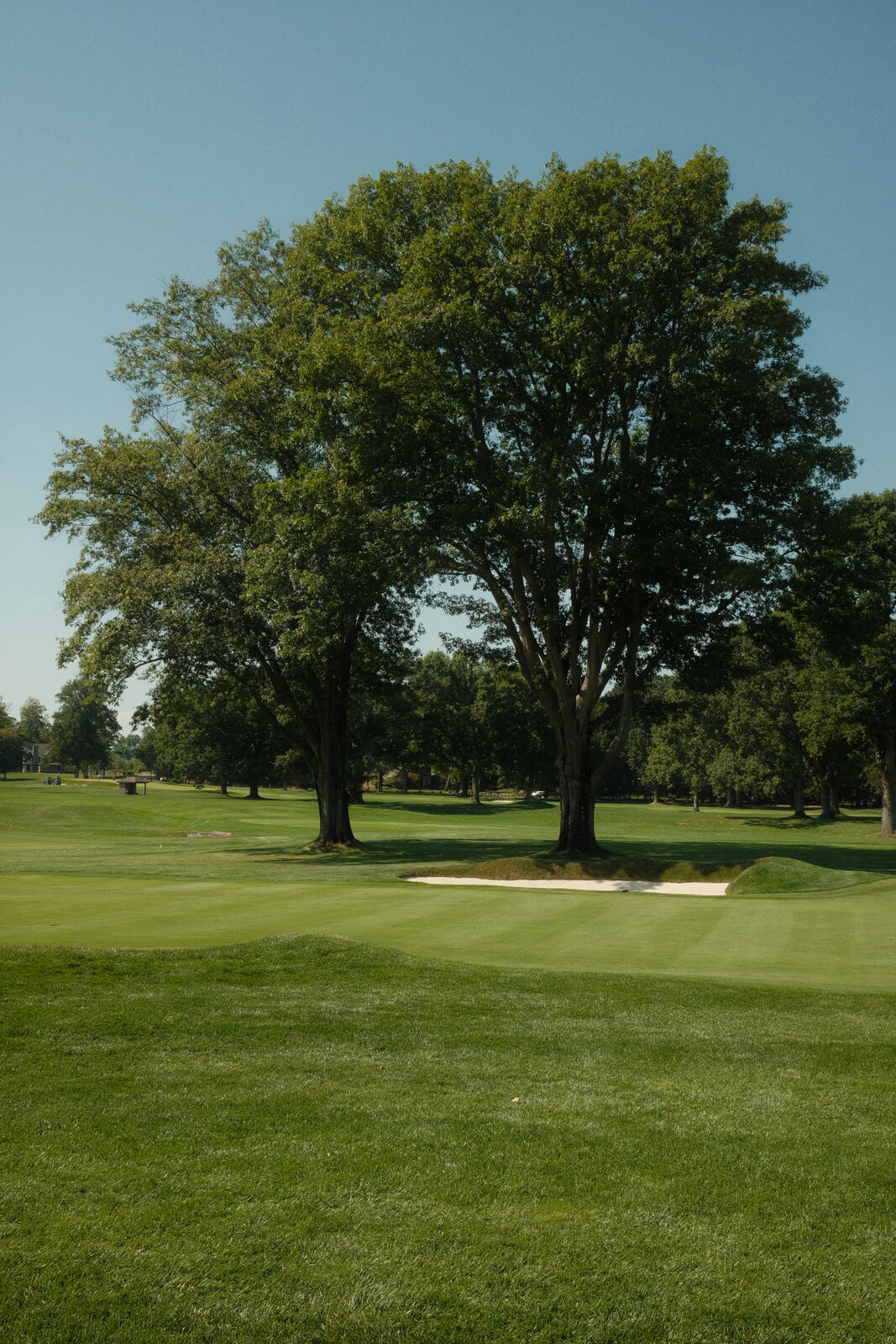 Golf photography by Julian Cordiano