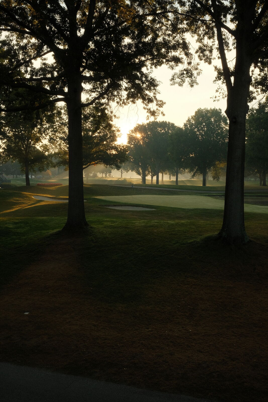 Golf photography by Julian Cordiano