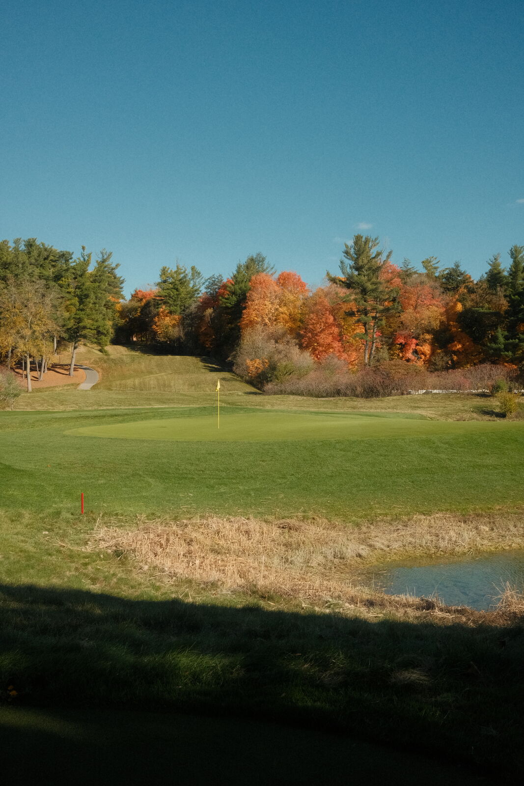 Golf photography by Julian Cordiano