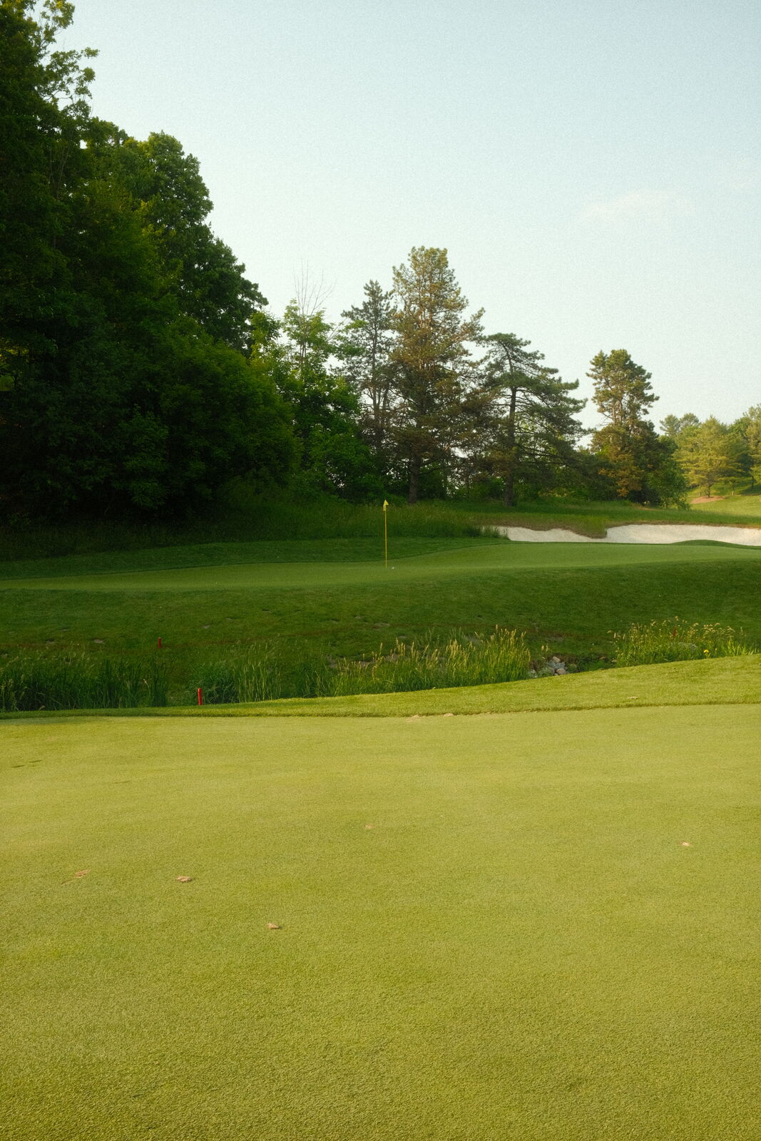 Golf photography by Julian Cordiano